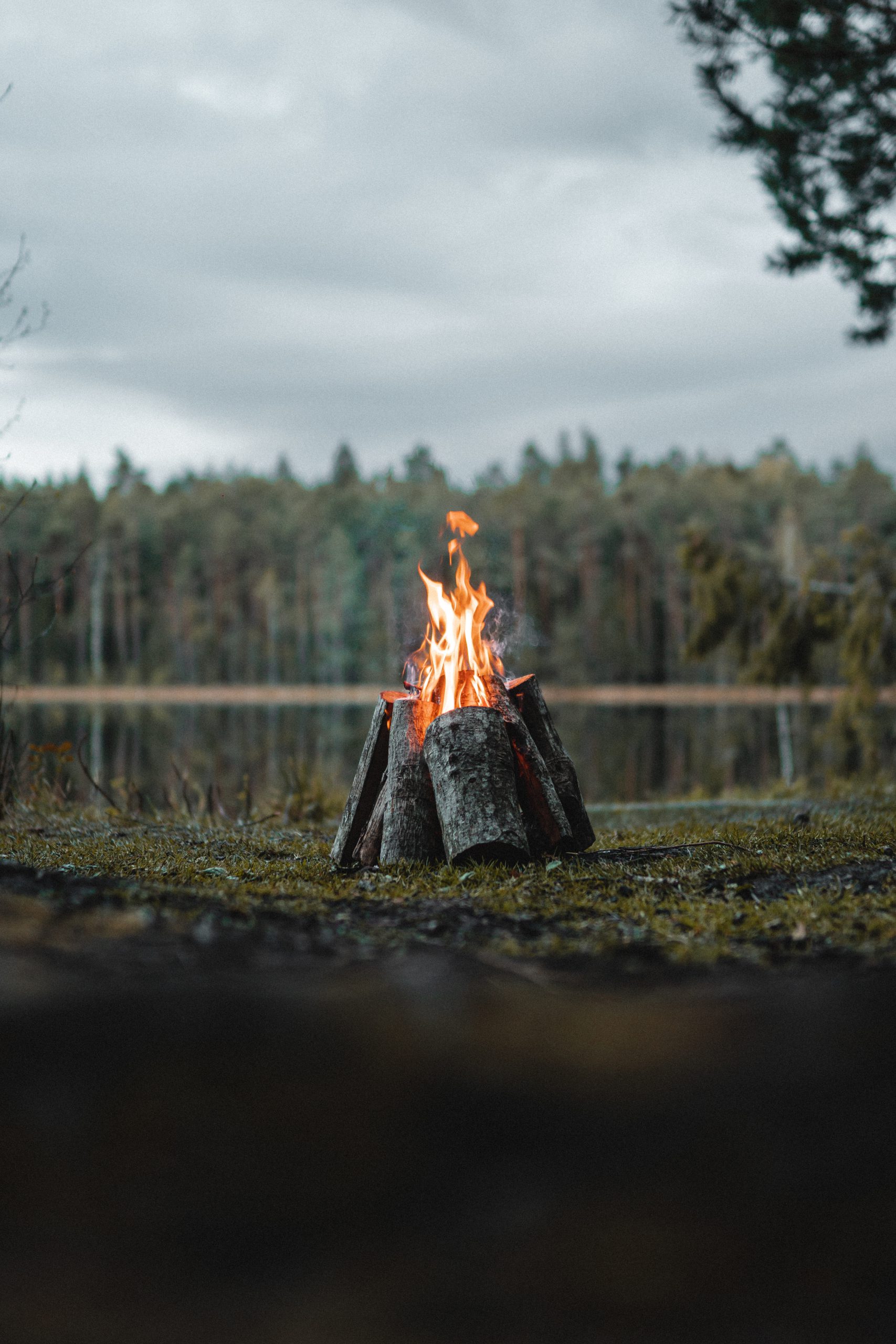 Vertical Shot Campfire Surrounded By Greenery Cloudy Sky Morning Scaled