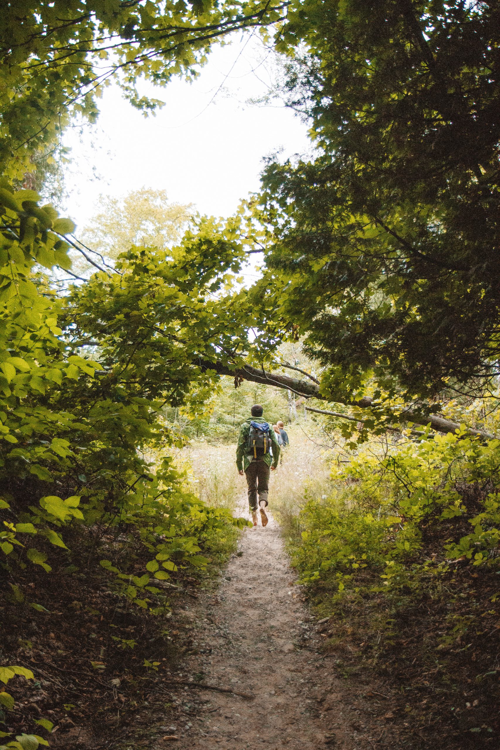 Vertical Shot Male With Backpack Walking Narrow Pathway Middle Trees Plants Scaled